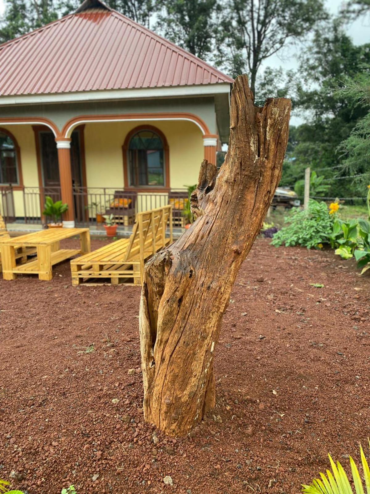 Home Feeling Kilimanjaro Моши Екстериор снимка